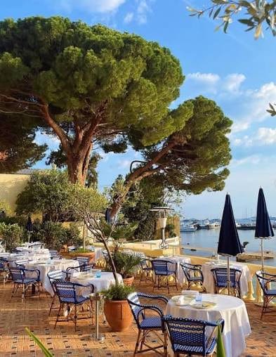 Laid tables under pines above the sea